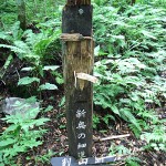kumatume_03