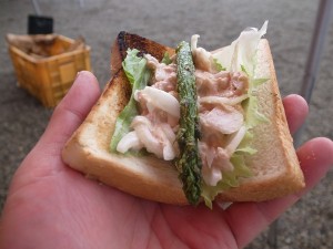 R0012171_sandwich