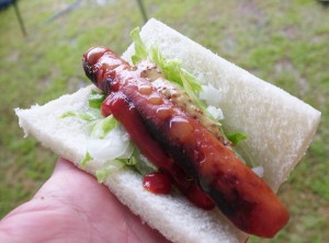 R0012738_hotdog