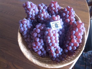 R0012796_budou