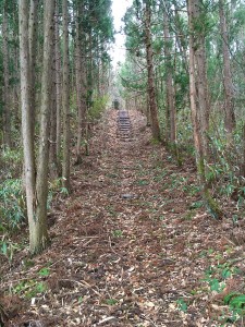 IMG_1510_遊歩道